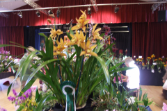 DSCF7621